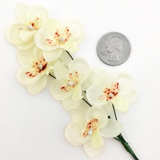 6 Pale Yellow Fabric Orchid Flowers for Spring Crafts ~ 1-1/2" across